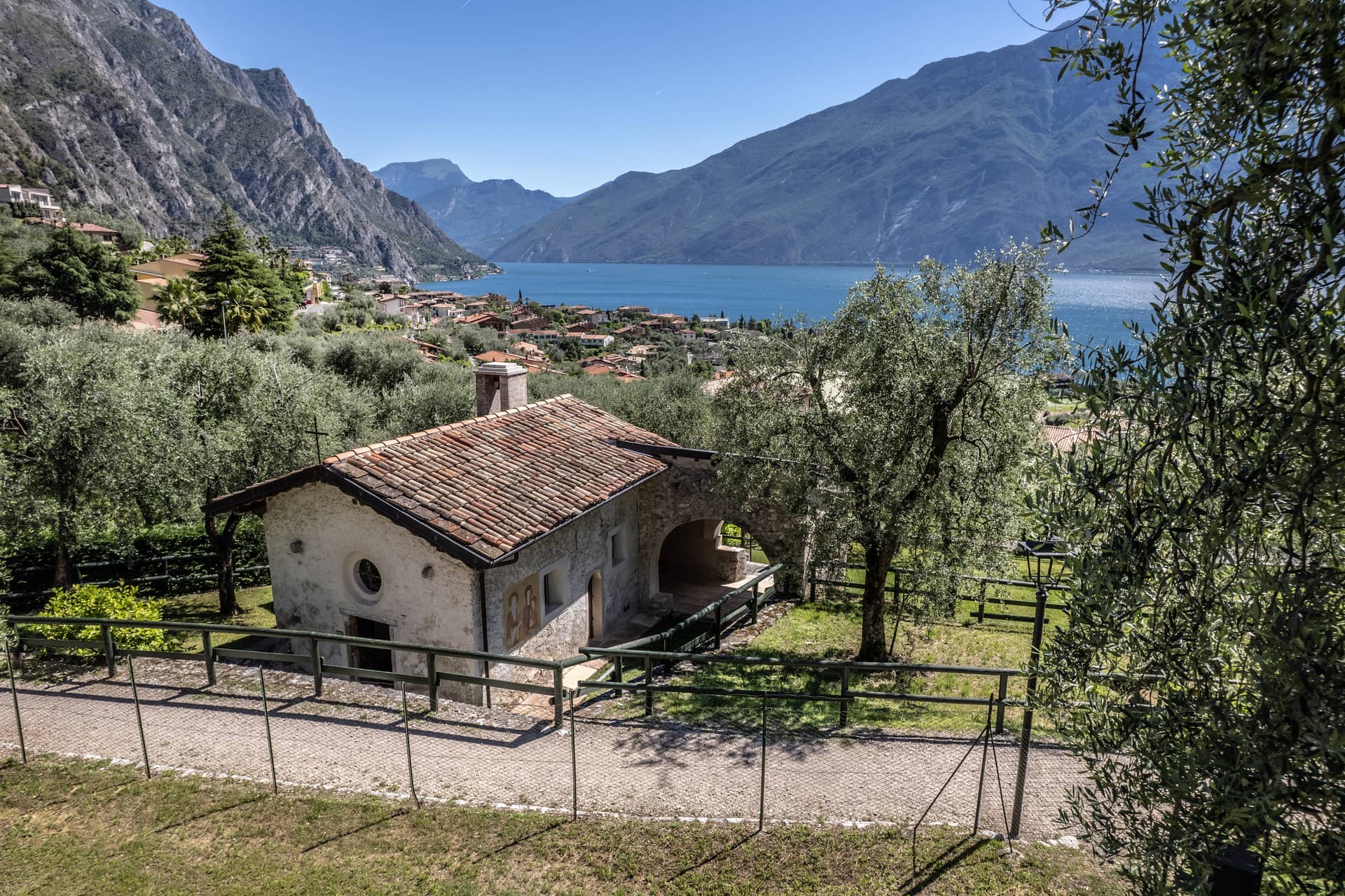 Piante Di Olivo E Chiesa Di San Pietro